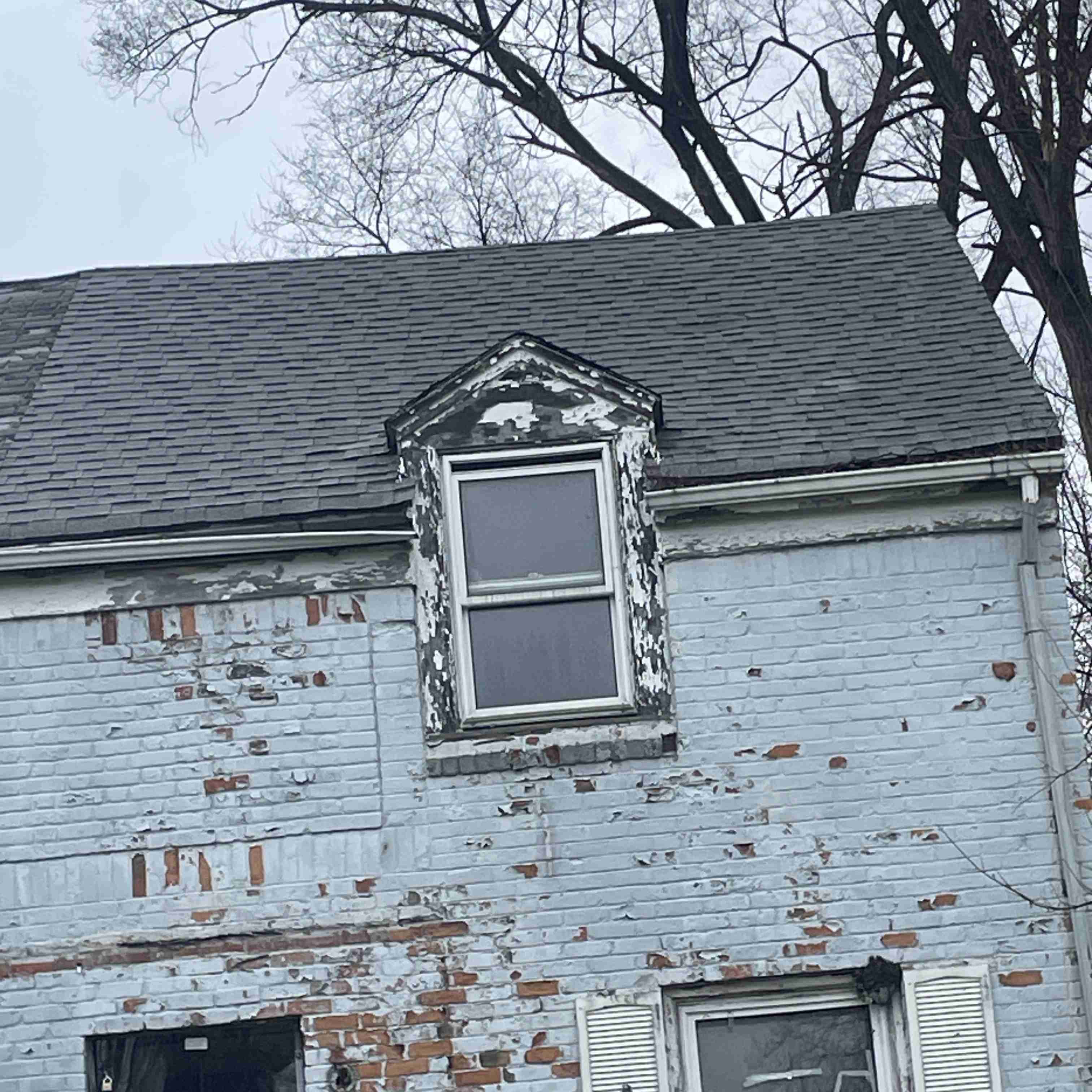 20017 Schoenherr (5).jpg